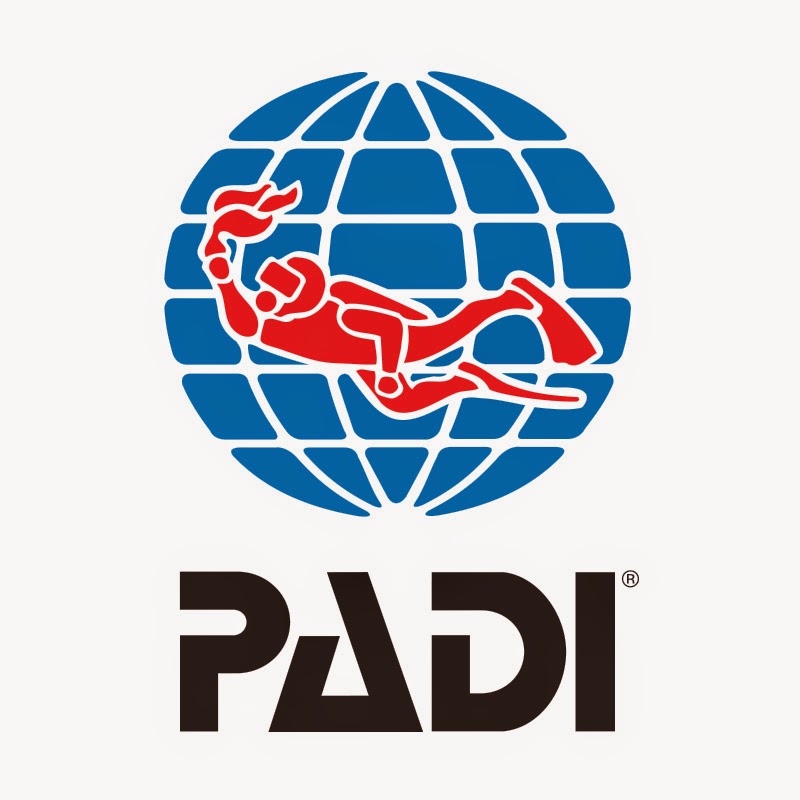 padi-1.jpg