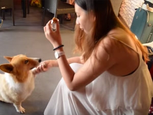 Popular dog short so beautiful love turned!