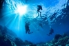 Green Island Diving - underwater world-1
